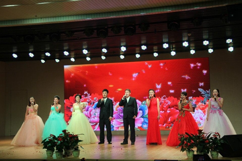 公司顺利举办“我们的天空，我们的梦”漾年华迎新晚会